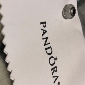 Pandora charm